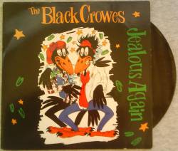 The Black Crowes : Jealous Again